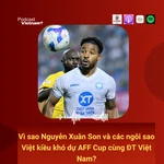 Vì sao Nguyễn Xuân Son và các ngôi sao Việt kiều khó dự AFF Cup?