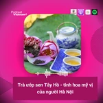 Trà ướp sen Tây Hồ - tinh hoa mỹ vị của người Hà Nội