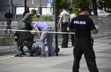 Cảnh sát bắt giữ nghi phạm tấn công Thủ tướng Robert Fico. (Ảnh: THX/TTXVN)