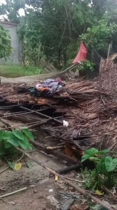Nhiều nhà dân ở xã Châu Quế Thượng, huyện Văn Yên bị đổ sập, tốc mái. (Ảnh: TTXVN phát)