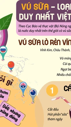 Việt Nam là nước duy nhất trên thế giới xuất khẩu vú sữa