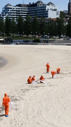 Thu gom những quả cầu đen bí ẩn trôi dạt vào bờ biển ở Sydney, Australia. (Nguồn: Getty Images)