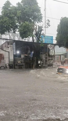 Trận mưa làm ngập khu vực hàng dừa, đường Cách Mạng Tháng Tám, thành phố Thủ Dầu Một, tỉnh Bình Dương hôm 9/11. (Ảnh: Dương Chí Tưởng/TTXVN)