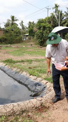 Nhà vườn xã Hưng Khánh Trung B, huyện Chợ Lách, tỉnh Bến Tre chủ động đo độ mặn trước khi tưới cho cây trồng. (Ảnh Công Trí/TTXVN)