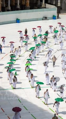 Các tín đồ Hồi giáo cầu nguyện tại Đền thờ Lớn ở thánh địa Mecca, Saudi Arabia, trong lễ hành hương Hajj. (Ảnh: THX/TTXVN)