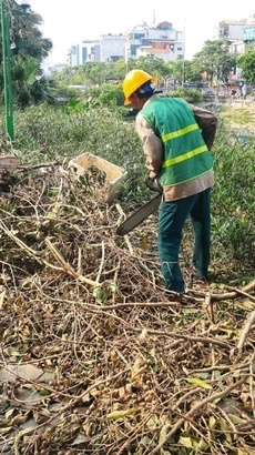 Thu dọn, cắt tỉa cây xanh trên đường Kim Giang, quận Thanh Xuân. (Ảnh: Tuấn Anh/ TTXVN)