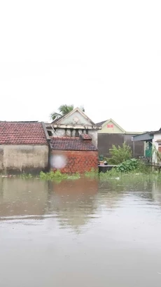 Khu vực vùng trũng Đồng Tháng Năm (thuộc địa phận 2 xóm Quyết Thành, Hải Bắc, xã Diễn Bích, huyện Diễn Châu, Nghệ An) ngập trong biển nước hồi tháng trước. (Ảnh: Xuân Tiến/TTXVN)