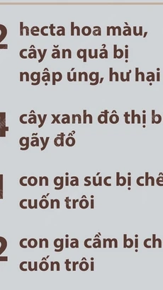 Báo cáo nhanh của một số địa phương miền Trung về thiệt hại do bão số 6 