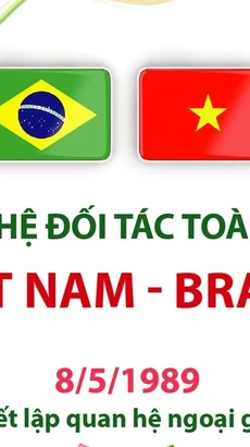 Những cột mốc đáng chú ý trong quan hệ Đối tác toàn diện Việt Nam-Brazil