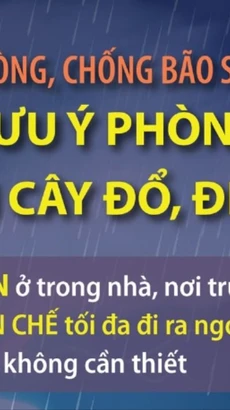 Phòng, chống bão số 3: Những lưu ý phòng, tránh tai nạn cây đổ, điện giật