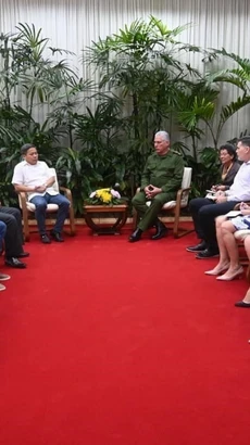 Chủ tịch Cuba Miguel Díaz-Canel tiếp đại diện Tập đoàn Gelex. (Ảnh: Vietnam+)