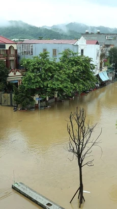 Đường Phạm Văn Xảo, phường Lào Cai, thành phố Lào Cai bị lũ tràn vào, ngập trong biển nước lúc 11g30 ngày 9/9. (Ảnh: Quốc Khánh/TTXVN)