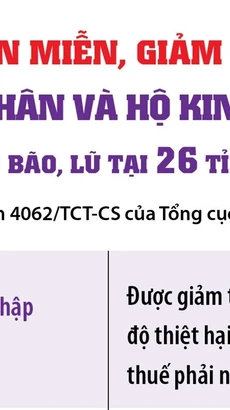 Hướng dẫn miễn, giảm thuế cho cá nhân, hộ kinh doanh và DN thiệt hại do bão lũ