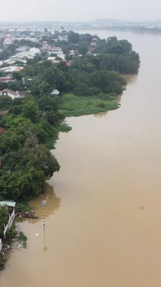 Mực nước trên sông Đồng Nai lúc 15 giờ 30 ngày 18/9/2024 tại khu vực thành phố Biên Hòa lên trên mức báo động 1. (Ảnh: Sỹ Tuyên/TTXVN)