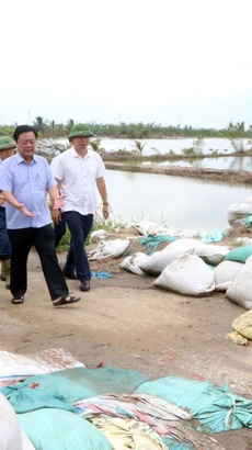 Bộ trưởng Lê Minh Hoan kiểm tra công tác đảm bảo an toàn đê điều, khắc phục hậu quả, khôi phục sản xuất nông nghiệp tại huyện Thanh Hà. (Ảnh: Mạnh Tú/TTXVN)