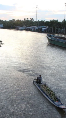 Mực nước cao trên sông Hậu kết hợp với triều cường (đầu tháng 9 âm lịch). (Ảnh: Nguyễn Hằng/TTXVN)