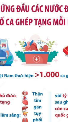 Việt Nam đứng đầu các nước Đông Nam Á về số ca ghép tạng mỗi năm