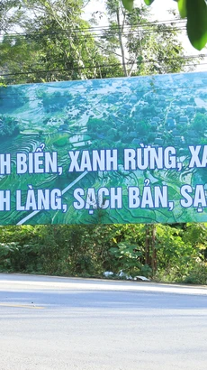 (Ảnh minh họa. Nguồn: Vietnam+)