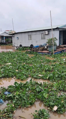 Rác thải tràn lan trên sông Cần Thơ tại khu vực chợ nổi Cái Răng, quận Ninh Kiều, thành phố Cần Thơ. (Ảnh: Hùng Võ/Vietnam+)