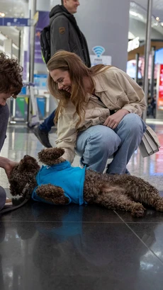 Những chú chó dễ thương tại sân bay Istanbul giúp hành khách thư giãn trước chuyến bay. (Ảnh: Reuters)