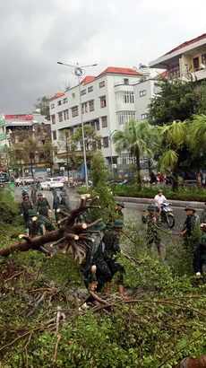 Các chiến sỹ thuộc Trung đoàn Bộ binh 43, Sư đoàn 395, Quân khu 3, đội mưa hỗ trợ người dân thu dọn cây xanh gãy đổ dọc tuyến Quốc lộ 18A qua địa phận thành phố Hạ Long, tỉnh Quảng Ninh. (Ảnh: Đức Hiếu/TTXVN)