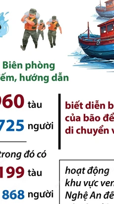 Kiểm đếm, hướng dẫn 66.960 tàu trên biển về hướng di chuyển của bão số 4 