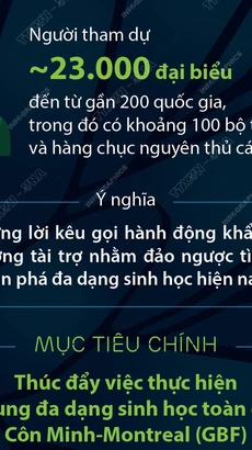 Hội nghị COP16 tìm giải pháp ngăn chặn suy giảm đa dạng sinh học