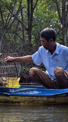 Khách du lịch trải nghiệm đặt lú bắt cua dưới vuông tôm tại điểm du lịch cộng đồng của ông Trần Văn Hướng (ấp Cồn Mũi, xã Đất Mũi, huyện Ngọc Hiển, Cà Mau). (Ảnh: Kim Há/ TTXVN)