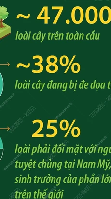 Nhiều loài cây trên toàn cầu đứng trước nguy cơ tuyệt chủng 