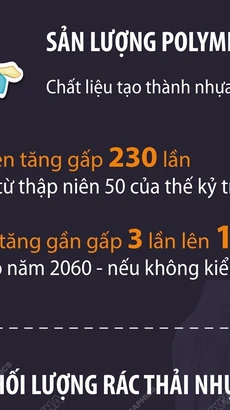 OECD: Thế giới đối mặt với lượng rác thải nhựa khổng lồ 