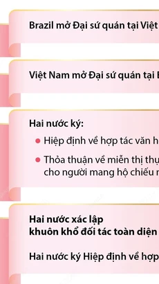 Tổng quan về quan hệ Đối tác chiến lược giữa Việt Nam và Brazil 