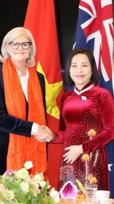 Phó Chủ tịch Quốc hội Nguyễn Thị Thanh và Toàn quyền Australia Sam Mostyn tại buổi chào xã giao. (Ảnh: Thanh Tú/TTXVN)