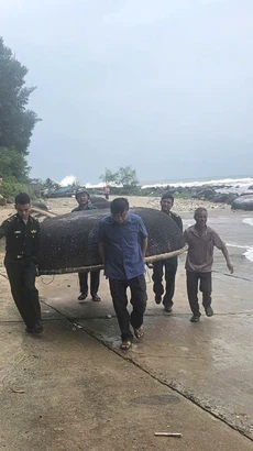 Các cán bộ, chiến sỹ Đồn Biên phòng Cửa Tùng hỗ trợ người dân di chuyển tàu thuyền nhỏ vào nơi trú ẩn an toàn. (Ảnh: TTXVN phát)