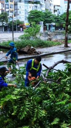 Lực lượng chức năng quận Thanh Xuân xử lý, dọn dẹp cây đổ trên phố Vũ Tông Phan. (Ảnh: Tuấn Anh/TTXVN)