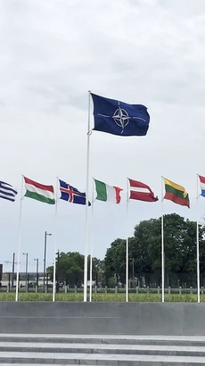 Cờ NATO và quốc kỳ các quốc gia thành viên tại trụ sở ở Brussels, Bỉ. (Ảnh: Kyodo/TTXVN)