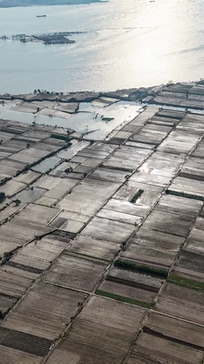 Lũ “thổi bay” vựa rau lớn nhất Hà Nội, nhiều nơi chưa thể trồng lại dù nước rút