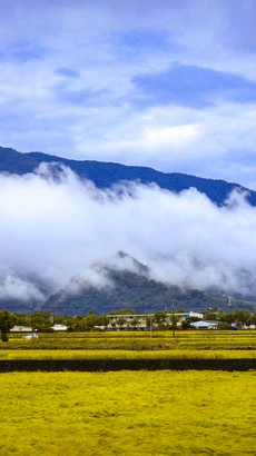 Khung cảnh thiên nhiên tuyệt đẹp trên cánh đồng lúa tại thị trấn Chishang 