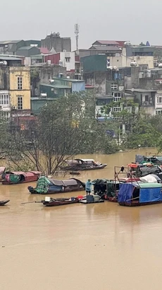 Lũ lên cao gây ngập lụt, cảnh báo cấp độ rủi ro thiên tai do lũ tại Hà Nội ở cấp 2. (Ảnh: Minh Quyết/TTXVN)