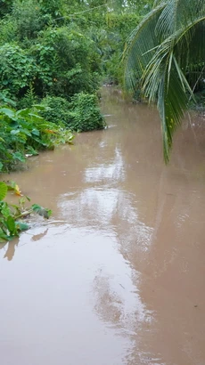 Mực nước ở kênh, rạch trên địa bàn tỉnh Đồng Tháp đang lên theo triều cường. (Ảnh: Nhựt An/TTXVN)