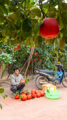 (Ảnh: Minh Sơn/Vietnam+)