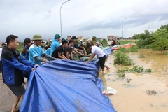 Người dân tích cực đắp cát, bạt qua đê để ngăn lũ. (Ảnh: Thanh Thương/TTXVN)