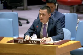 Đại sứ Đặng Hoàng Giang, Trưởng Phái đoàn Thường trực Việt Nam tại Liên hợp quốc, phát biểu. (Ảnh: Thanh Tuấn/TTXVN)