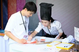 Du khách tham quan gian hàng Hàn Quốc tại Lễ hội. (Ảnh: Thu Hương/TTXVN)