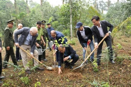 Các đại biểu trồng cây tại khuôn viên Bảo tàng Cúc Phương (Vườn quốc gia Cúc Phương). (Ảnh: Đức Phương/TTXVN)