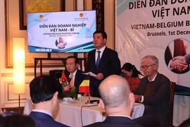 Bộ trưởng Bộ Công Thương Nguyễn Hồng Diên phát biểu tại Diễn đàn. (Ảnh: Hương Giang/TTXVN)