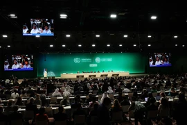 Toàn cảnh phiên Khai mạc Hội nghị lần thứ 28 Các bên tham gia Công ước Khung của Liên hợp quốc về Biến đổi Khí hậu (COP28) tại Dubai, UAE ngày 30/11/2023. (Ảnh: THX/TTXVN)