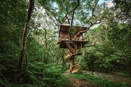 Nằm sâu trong rừng Okinawa, Treeful là Khu nghỉ dưỡng trên cây thân thiện với môi trường. (Ảnh: CNN)