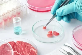 Thịt được nuôi trong phòng thí nghiệm. (Nguồn: Shutterstock)