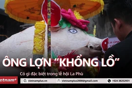 [Video] Dân làng La Phù bật mí bí quyết chăm sóc "ông lợn" khổng lồ