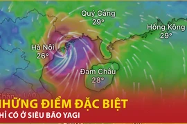 Bản tin 60s: Những điểm đặc biệt hiếm, chỉ có ở siêu bão Yagi